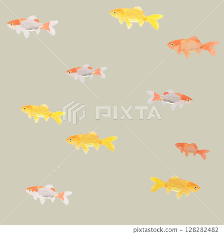 Swimming Japanese goldfish_yellow_square Swimming Japanese goldfish_yellow_square 128282482