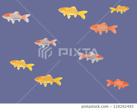 游泳的日本金魚_海軍_水平 128282485