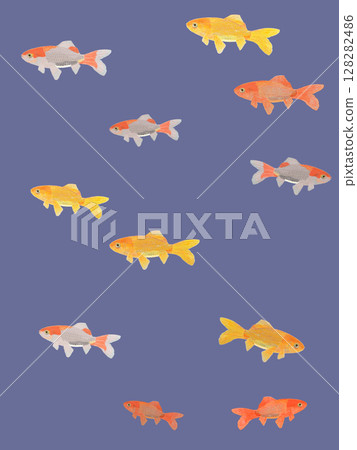 Swimming Japanese goldfish_navy_vertical Swimming Japanese goldfish_navy_vertical 128282486