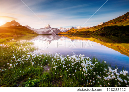 Great view of Mt. Schreckhorn and Wetterhorn above Bachalpsee lake. Grindelwald, Switzerland. Europe. 128282512