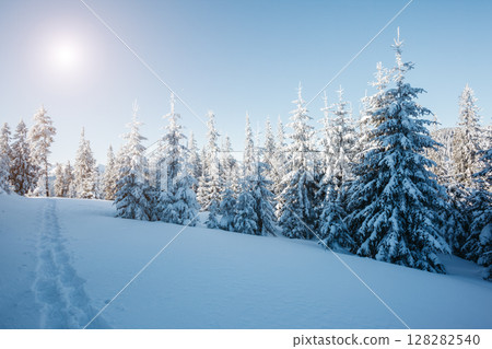 beautiful winter landscape beautiful winter landscape 128282540