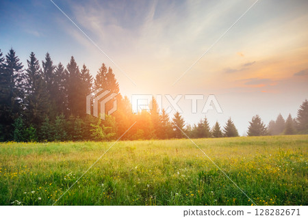 Fantastic summer scene 128282671