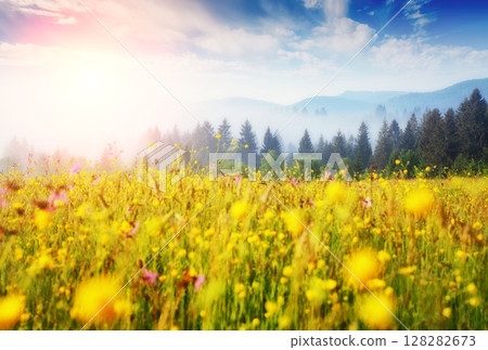 Fantastic sunny day Fantastic sunny day 128282673
