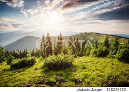 beautiful summer landscape 128282683