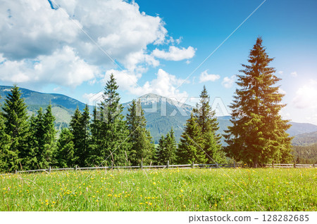 beautiful summer landscape beautiful summer landscape 128282685