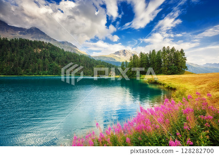 Fantastic summer scene 128282700