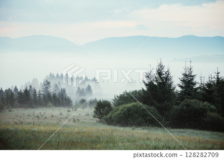 picturesque morning scene 128282709