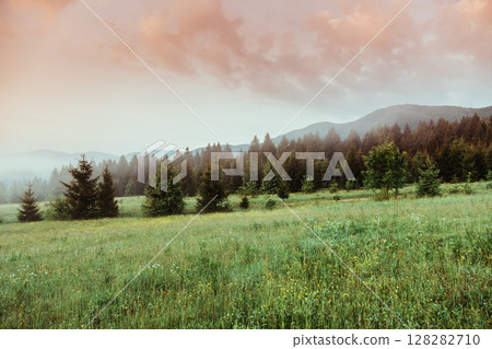 picturesque morning scene 128282710