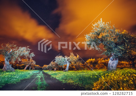 olive garden in the dark olive garden in the dark 128282715