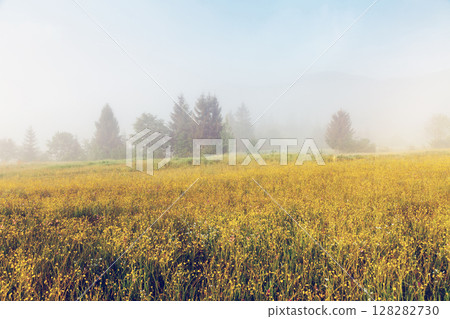 beautiful alpine landscape 128282730