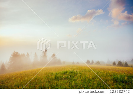 Fantastic foggy scene Fantastic foggy scene 128282742
