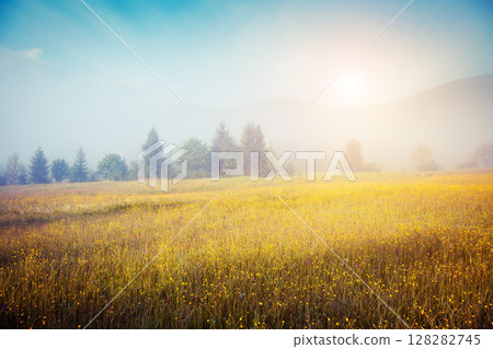Fantastic summer scene 128282745