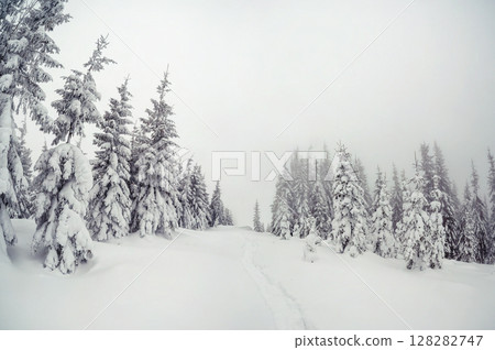 Majestic winter landscape 128282747