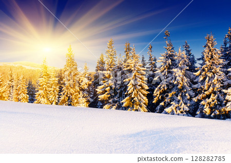 winter 128282785