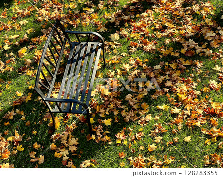 metal bench in the park 128283355