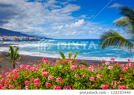 beach playa Jardin, Tenerife, Spain beach playa Jardin, Tenerife, Spain 128283440