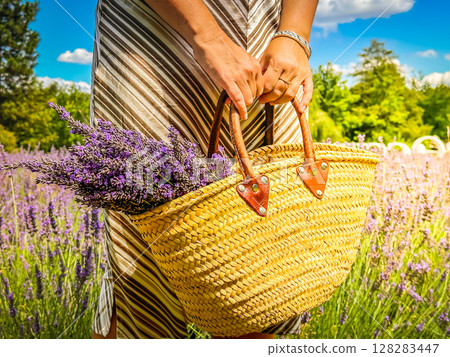 A beautiful lavender field featuring a woven basket set against a sunlit garden, evoking tranquility and peace 128283447