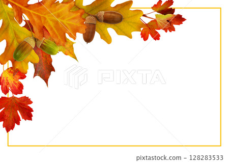 Red autumn leaves and acorns in a corner arrangement and a frame isolated on white 128283533