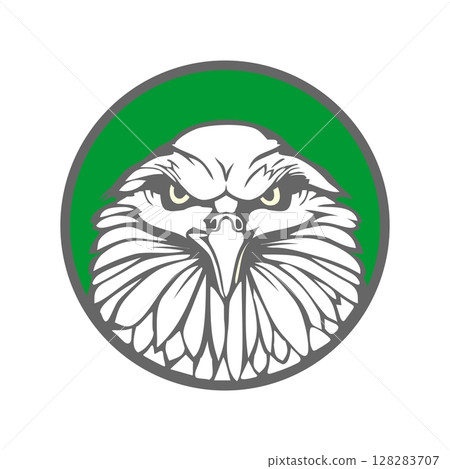 Eagle in green circle. Flat vector illustration. For label, logo, web design, brochure, poster. 128283707