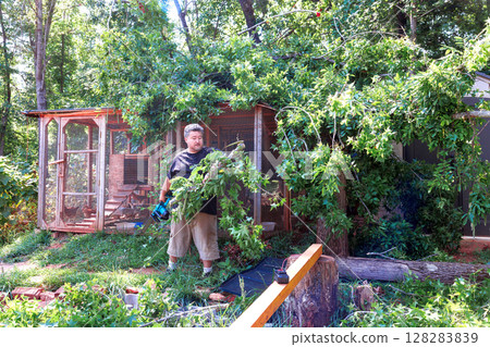 Man is cleaning up fallen branches in backyard close to an animal chicken coop after strong hurricane 128283839