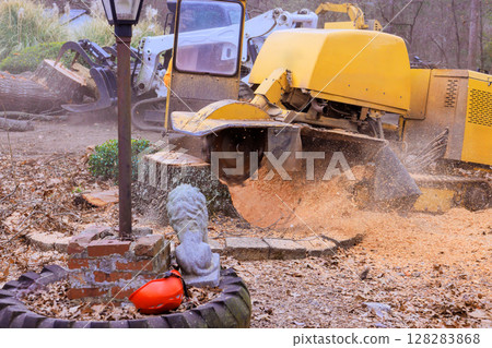 Large stump grinder machine removes tree stump in backyard while debris scatters around works area. Large stump grinder machine removes tree stump in backyard while debris scatters around works area. 128283868