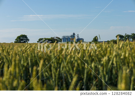 Grain silos stand tall in a storage facility, visible against a backdrop of lush fields under a clear blue sky Grain silos stand tall in a storage facility, visible against a backdrop of lush fields under a clear blue sky 128284082