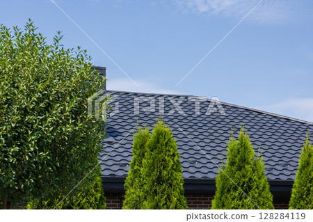 A stunning rooftop showcases metallic tiles surrounded by vibrant green trees, set against a bright blue sky on a sunny day A stunning rooftop showcases metallic tiles surrounded by vibrant green trees, set against a bright blue sky on a sunny day 128284119