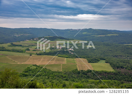 Motovun area vineyards and village views, Croatia. Motovun area vineyards and village views, Croatia. 128285135