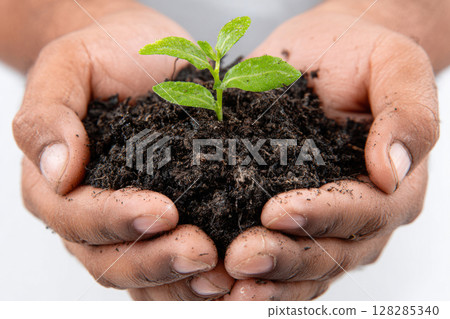 Hands holding soil with green sprout Hands holding soil with green sprout 128285340