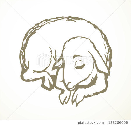 Vector drawing. Small sheep lay to sleap Vector drawing. Small sheep lay to sleap 128286006