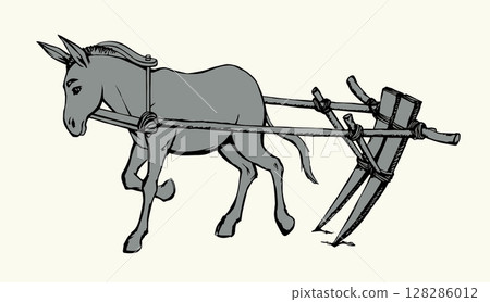 Vector drawing. Cute old mule Vector drawing. Cute old mule 128286012