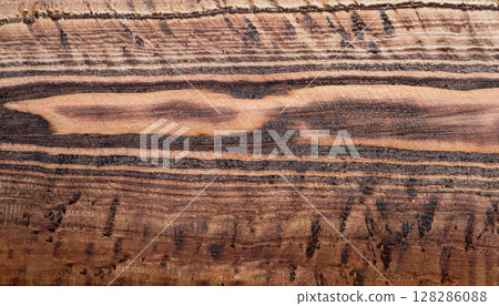The photo of sycamore board surface with black wood texture 128286088