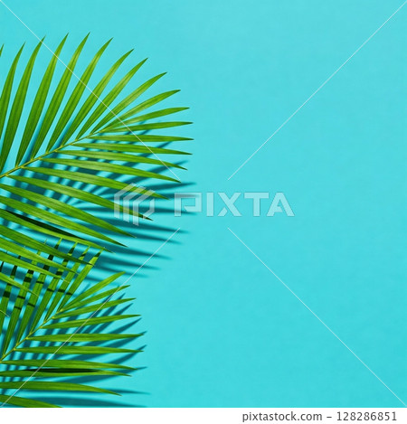Tropical Palm Leaf on Aqua Background with Copy Space. 128286851