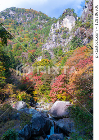 [Autumn leaves] A spectacular autumn view of the autumn leaves of Kakuenbo, the symbol of Shosenkyo [Yamanashi Prefecture] 128286936