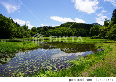 滝頭沼的風景(新潟縣阿賀町滝頭沼) 滝頭沼的風景(新潟縣阿賀町滝頭沼) 128287375