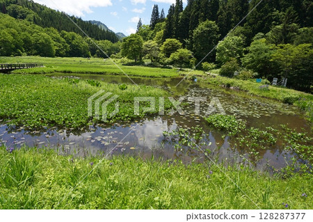 滝頭沼的風景（新潟縣阿賀町滝頭沼） 128287377