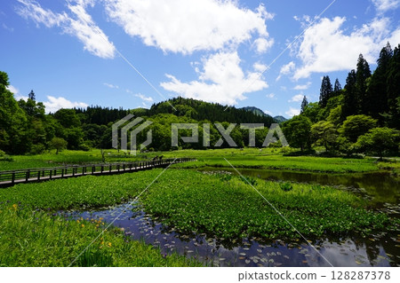 滝頭沼的風景(新潟縣阿賀町滝頭沼) 滝頭沼的風景(新潟縣阿賀町滝頭沼) 128287378