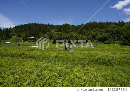 滝頭沼的風景（新潟縣阿賀町滝頭沼） 128287384