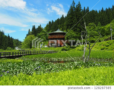 Scenery of Takigashira Marsh (Takigashira Marsh, Aga Town, Niigata Prefecture) 128287385