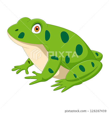 Cartoon frog isolated on white background 128287439