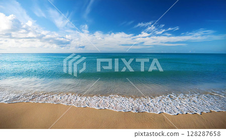 Sea Coast Sand Beach 128287658