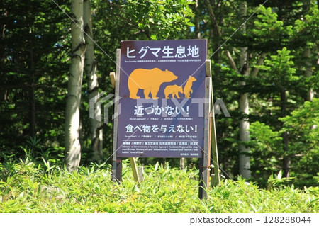 棕熊棲息地招牌景觀_北海道 128288044