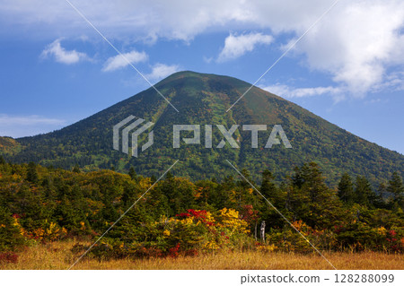 Hakkodayama in autumn 128288099