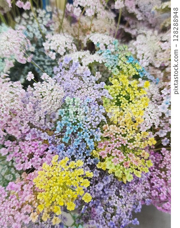 蕾絲花染色 蕾絲花染色 128288948