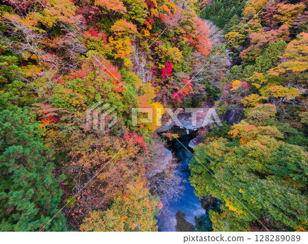 土chi峽（秋天） 128289089