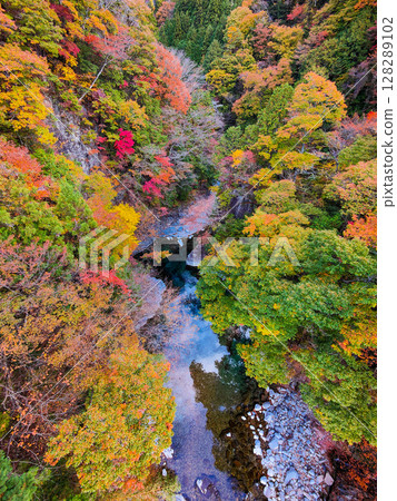 Tsuchikyo Gorge (Autumn) 128289102