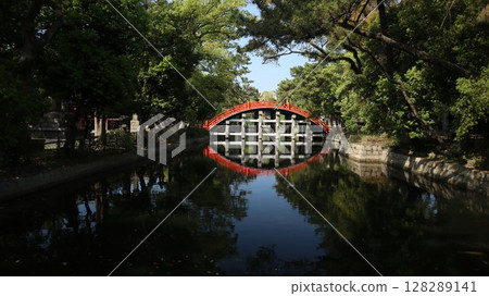 Drum bridge reflected in the pond 128289141