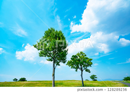Blue sky and clouds and prairie 128289236