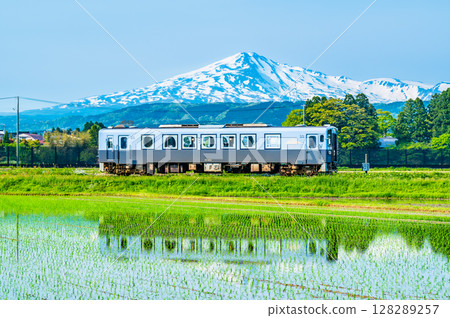 Yuri Kogen Railway: A train running through rice fields with Mt. Chokai in the background (Magazawa-Maego) Yuri Kogen Railway: A train running through rice fields with Mt. Chokai in the background (Magazawa-Maego) 128289257