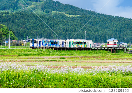 Yurikogen Railway - Fresh greenery at Magasawa Station Yurikogen Railway - Fresh greenery at Magasawa Station 128289363